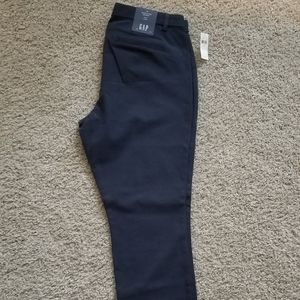 Navy Blue Gap Signature Skinny Pants
